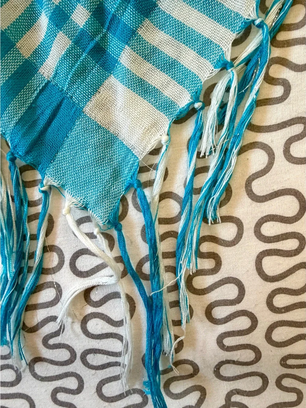 Blue Plaid Fringe Scarf